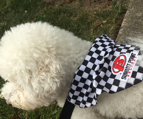 Checkered Flag SP Doggie Bandana